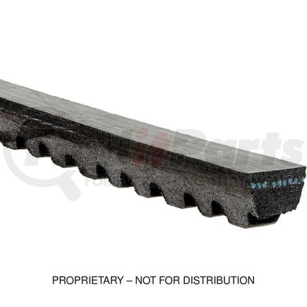 Freightliner GT15435 Accessory Drive Belt Accessory Drive Belt - 8136-13143