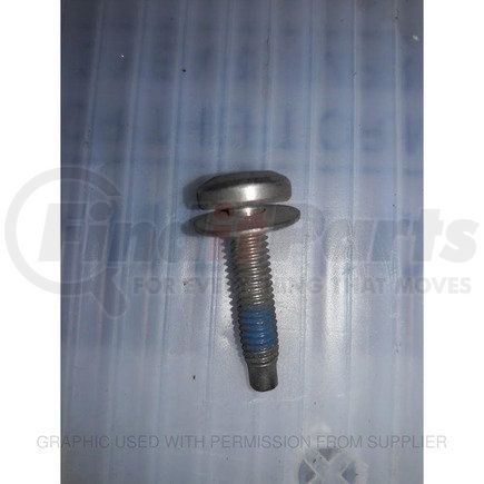 W704922-S300 by FREIGHTLINER - Screw