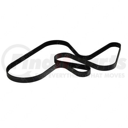 01-32241-445 by FREIGHTLINER - Accessory Drive Belt - 8 Rib, EPDM, Poly, 2445 mm