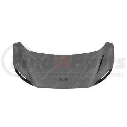 A17-20384-005 by FREIGHTLINER - Hood - 100, Bezel