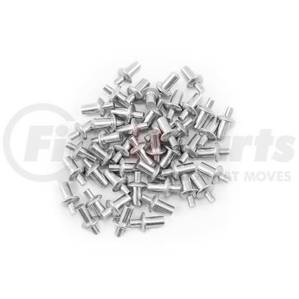 080-R089R by TRAMEC SLOAN - Rivet - Replacement Rivets For All Hoop Kits, 50 Rivets
