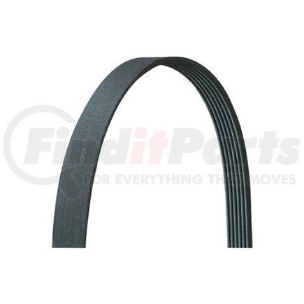 5060495DR by DAYCO - V-RIBBED, DRIVE RITE TRADITIONAL