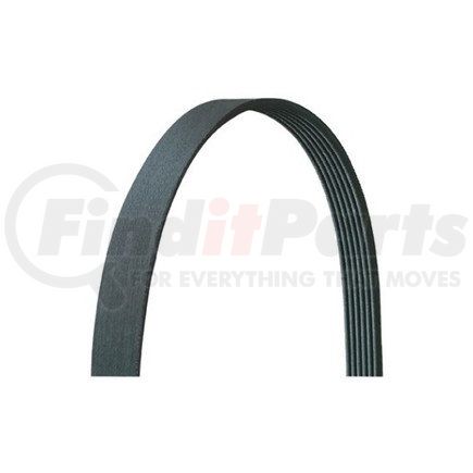 Dayco 5080610DR Serpentine Belt V-RIBBED, DRIVE RITE TRADITIONAL