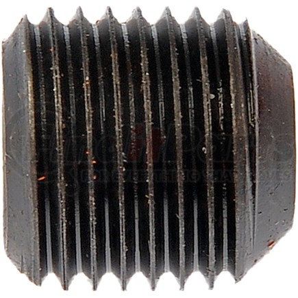 380-066 by DORMAN - Set Screw-Grade 8- 1/2-20 In. x 1/2 In.