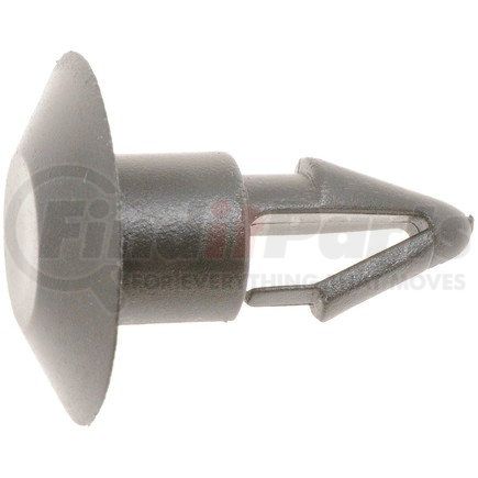 45510 by DORMAN - Splash Shield Retainer - GM