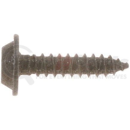 45880 by DORMAN - Trim Screw - Black Oval Head - No. 8 x 3/4 In.