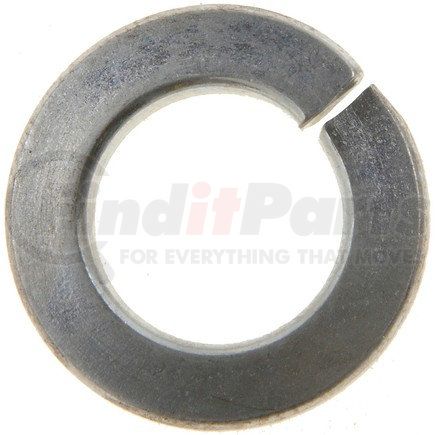 44354 by DORMAN - SPLIT LOCK WASHER