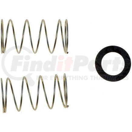 55144 by DORMAN - Fuel Filter Springs