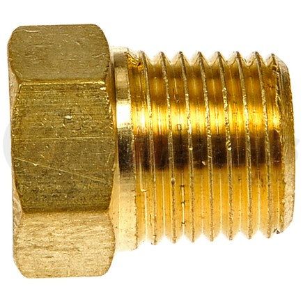 785-420D by DORMAN - Brass Pipe Plug - Hex Head - 1/8 In. MNPT