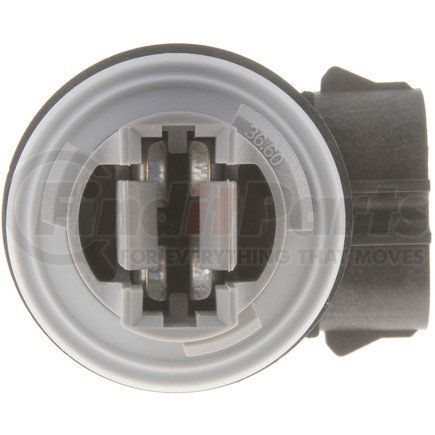 84764 by DORMAN - 3-Terminal  Lamp Socket