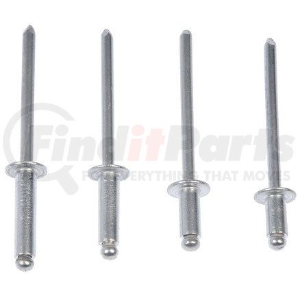 961-025 by DORMAN - Rivet - Aluminum - 5/32 In.-Assortment