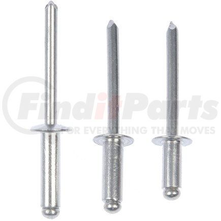 961-030 by DORMAN - Rivet - Aluminum - 3/16 In.-Assortment