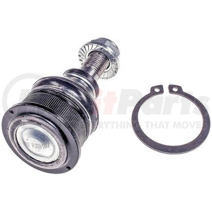 BJ65006 by DORMAN - Suspension Ball Joint