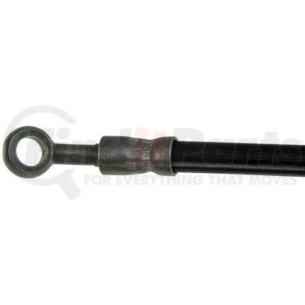 H116951 by DORMAN - Brake Hydraulic Hose