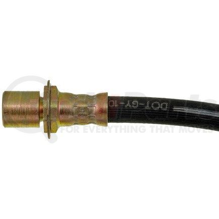 H380231 by DORMAN - Brake Hydraulic Hose