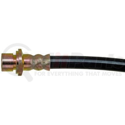 H380516 by DORMAN - Brake Hydraulic Hose