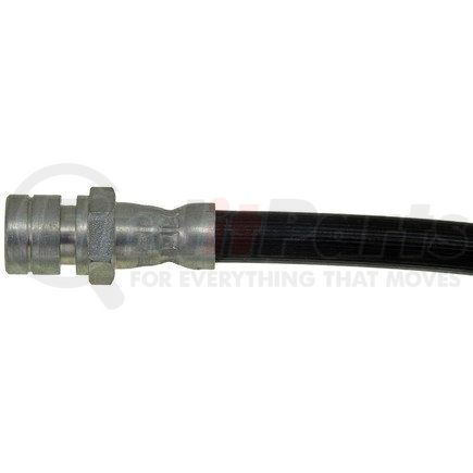 H38036 by DORMAN - Brake Hydraulic Hose