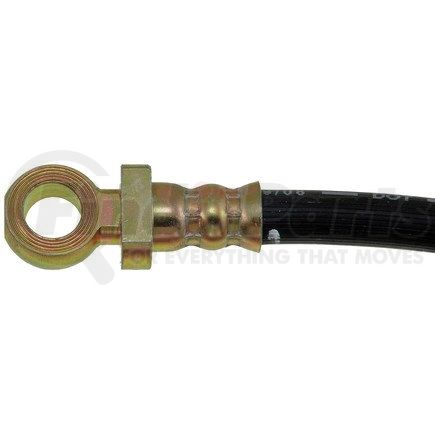 H36901 by DORMAN - Brake Hydraulic Hose