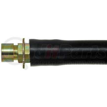 H36981 by DORMAN - Brake Hydraulic Hose