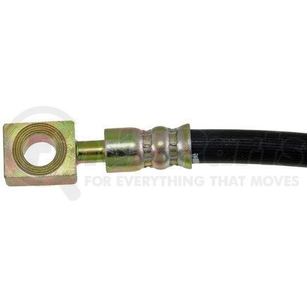 H381019 by DORMAN - Brake Hydraulic Hose