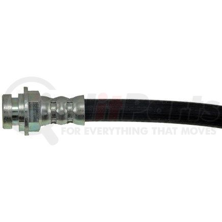 H38102 by DORMAN - Brake Hydraulic Hose