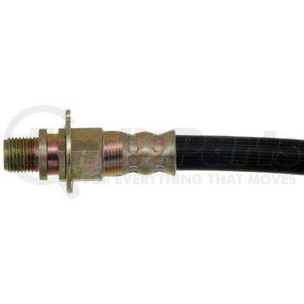 H381053 by DORMAN - Brake Hydraulic Hose