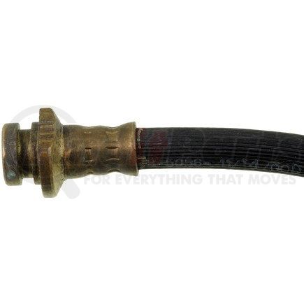 H381060 by DORMAN - Brake Hydraulic Hose