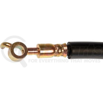 H381137 by DORMAN - Clutch Hydraulic Hose