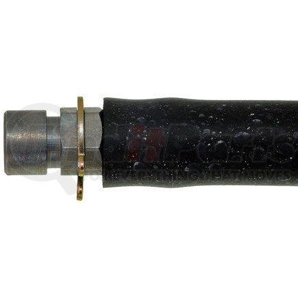 H381213 by DORMAN - Brake Hydraulic Hose