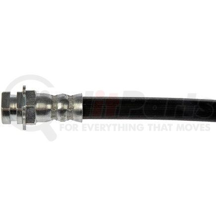 H381217 by DORMAN - Brake Hydraulic Hose