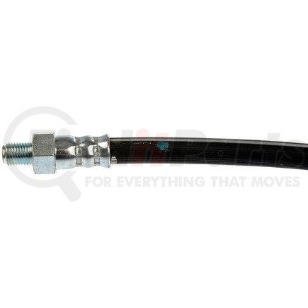 H381242 by DORMAN - Brake Hydraulic Hose