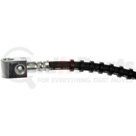 H381076 by DORMAN - Brake Hydraulic Hose