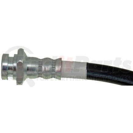 H381108 by DORMAN - Brake Hydraulic Hose