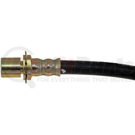 H38407 by DORMAN - Brake Hydraulic Hose