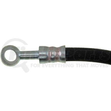 H38468 by DORMAN - Brake Hydraulic Hose