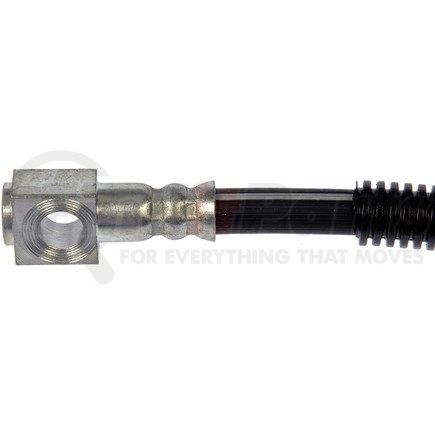 H381342 by DORMAN - Brake Hydraulic Hose