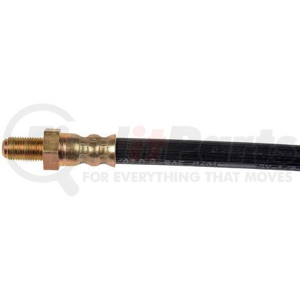 H38161 by DORMAN - Brake Hydraulic Hose