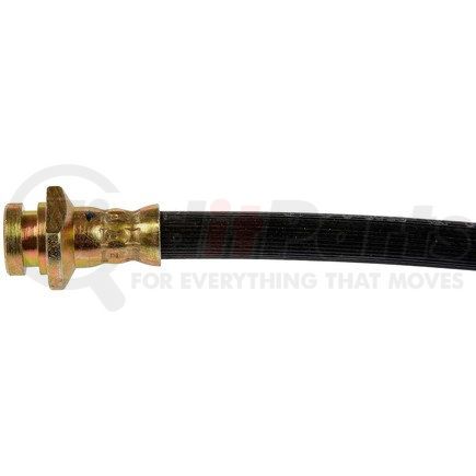 H381622 by DORMAN - Brake Hydraulic Hose