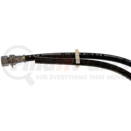 H381679 by DORMAN - Brake Hydraulic Hose