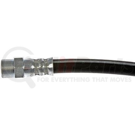 H38203 by DORMAN - Brake Hydraulic Hose