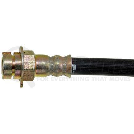 H38681 by DORMAN - Brake Hydraulic Hose