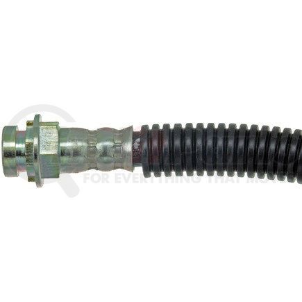 H38906 by DORMAN - Brake Hydraulic Hose