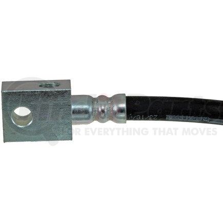 H38481 by DORMAN - Brake Hydraulic Hose