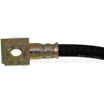 H620081 by DORMAN - Brake Hydraulic Hose