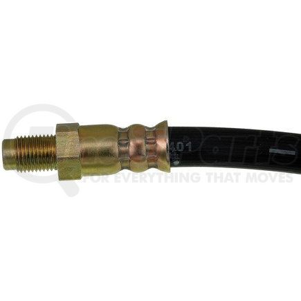 H620053 by DORMAN - Brake Hydraulic Hose