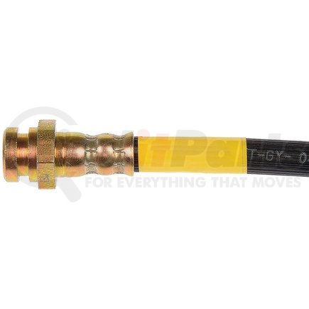 H620346 by DORMAN - Brake Hydraulic Hose