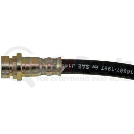 H620318 by DORMAN - Brake Hydraulic Hose