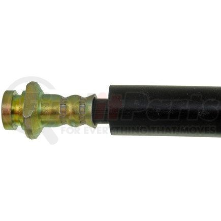 H620569 by DORMAN - Brake Hydraulic Hose