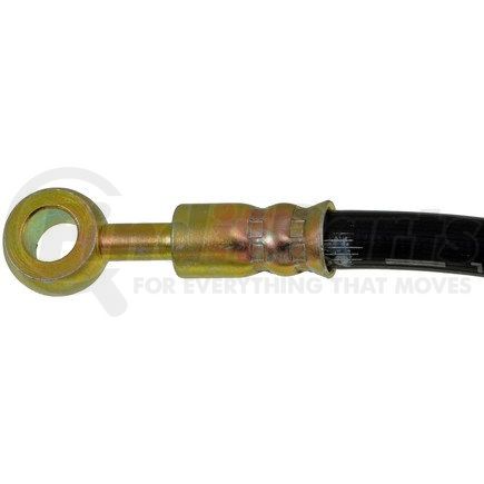 H620389 by DORMAN - Brake Hydraulic Hose