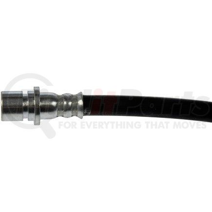 H621446 by DORMAN - Brake Hydraulic Hose